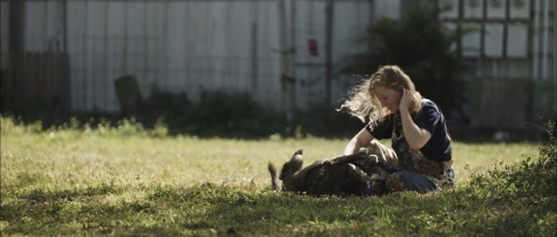 Forget Me Not - Saving Dogs